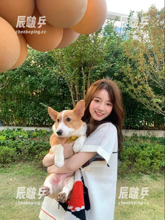 精致生活被掐断，51吃瓜苹果版的视频退出只能让人呵呵了。