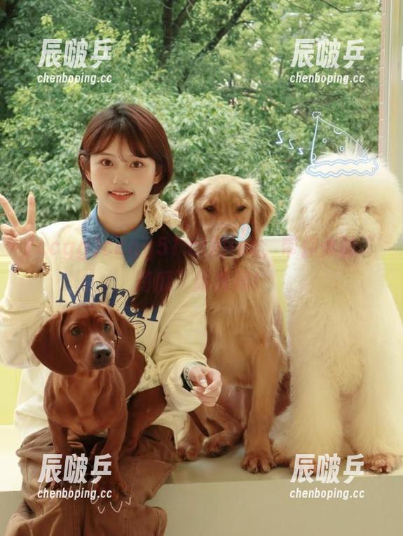 ccgg ccgg51.ct的ios,带你体验“蹲瓜”新境界!