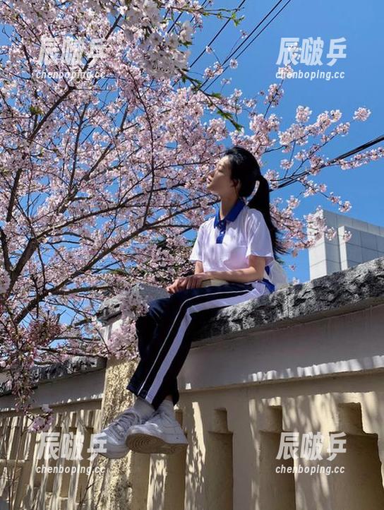 九一吃瓜网站：每天十种不同瓜等你来选，总有一款适合你腹中的好奇心！