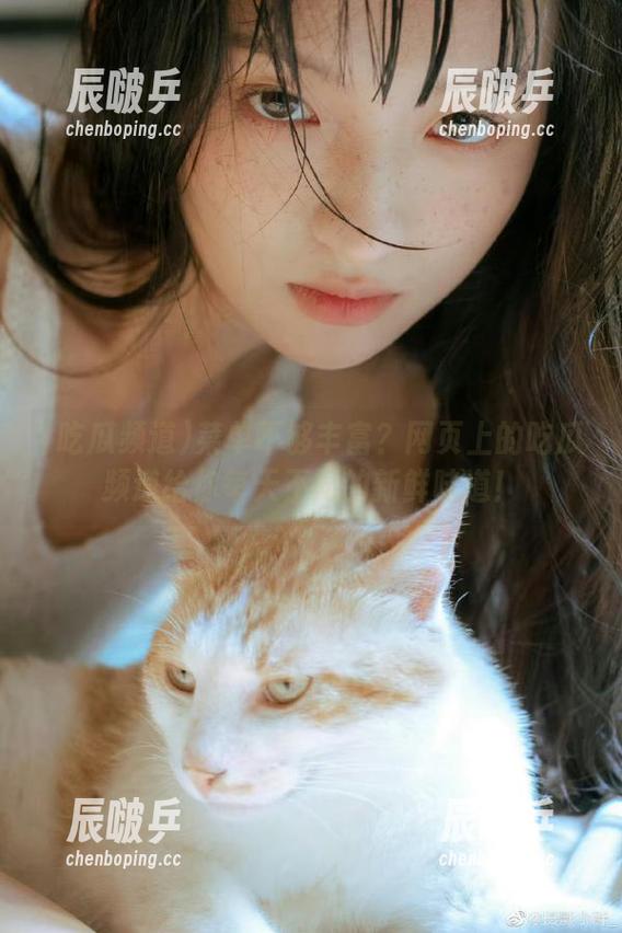 菜单不够丰富？网页上的吃瓜频道给你每天不同的新鲜味道！
